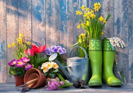 5 sfaturi pentru a pregăti grădina pentru primăvară