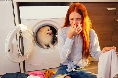 Probleme când parfumezi casa