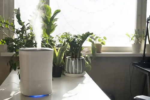 Cel mai bun umidificator
