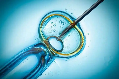 Fecundarea in vitro