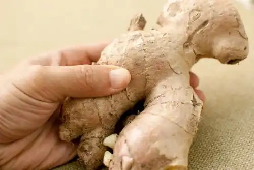 Ghimbirul pe lista de analgezice naturale fără efecte secundare