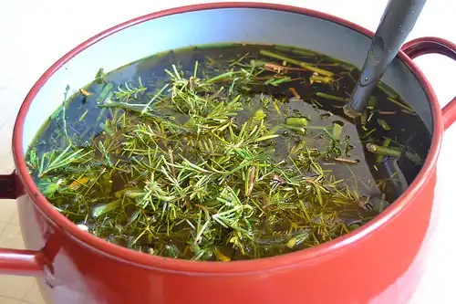 Infuzie de plante medicinale