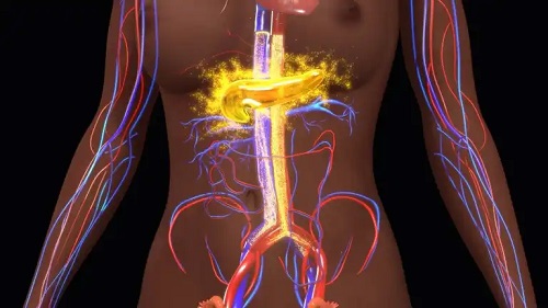 Ce efect are rezistența la insulină în corp