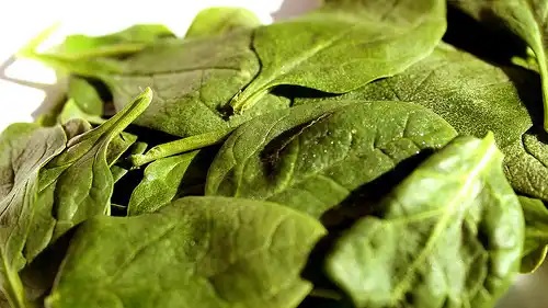Spanacul inclus în nutriția pentru oase puternice și sănătoase