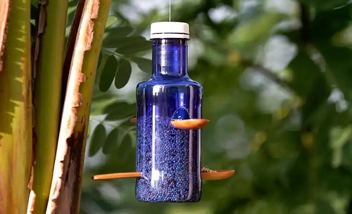 Idei pentru a reutiliza sticlele de plastic pentru a hrăni păsările