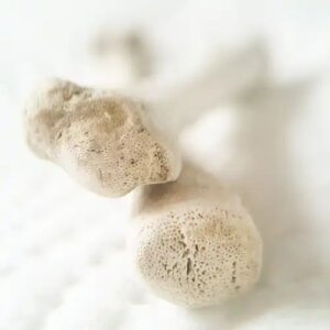 Nutriția pentru oase puternice și sănătoase