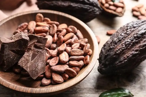 Boabe de cacao și ciocolată neagră