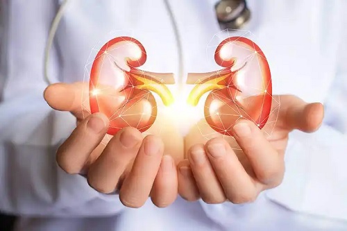 Cauzele urinei spumoase la nivelul rinichilor