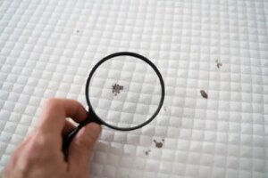 Cum se curăță salteaua mucegăită?
