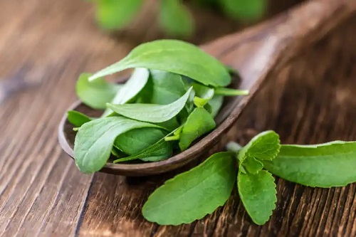 Stevia lichidă de casă: nutrienți și preparare