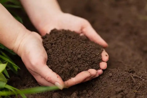 Cum să faci compostul organic bokashi