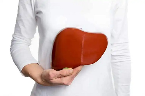 Consecințele statului nemâncat asupra ficatului