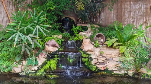 Cascadă într-o grădină acvatică