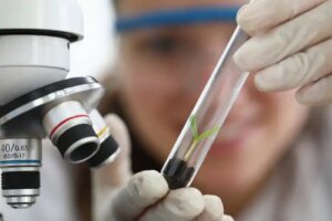 Ce este empirismul? Caracteristici și exemple