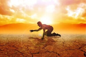 Ce sunt deșerturile alimentare și care este impactul lor asupra sănătății?