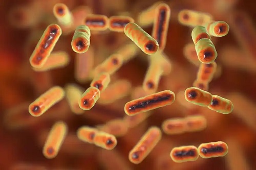 Disbioză intestinală