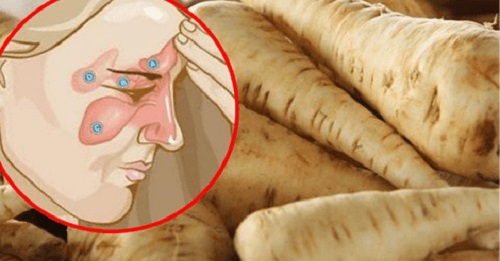 Hrean pentru sinuzită