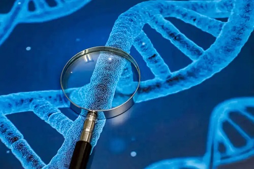 Lupă ce analizează ADN-ul