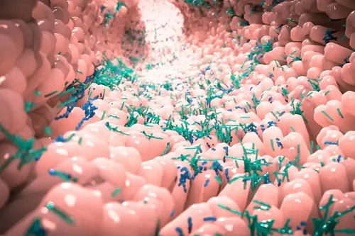 Microbiota intestinală