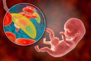 Placenta anterioară, posterioară sau fundică: ce înseamnă în sarcină?