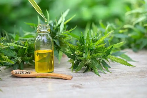 Beneficii ale uleiului CBD