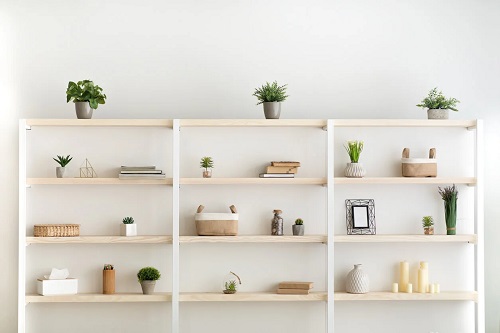 Bibliotecă modulară acasă cu cărți și plante