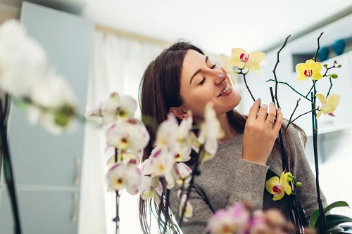 Femeie care miroase o orhidee