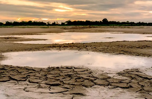 Lac care a secat din cauza caniculei