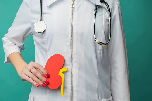 Medic care vorbește despre rinichi