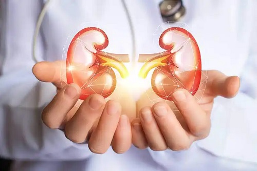 Medic care oferă sfaturi pentru rinichi sănătoși