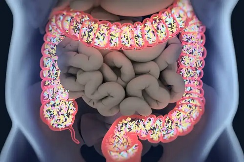 Microbiota intestinală