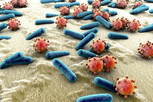 Microorganisme care trăiesc pe piele