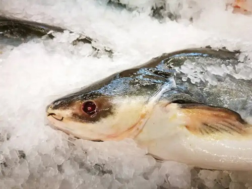 Nutrienții, beneficiile și riscurile peștelui pangasius