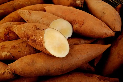 Tubercul de Yacon