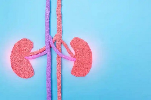 Cum afectează lupusul rinichii?