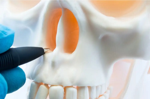Anatomia craniului