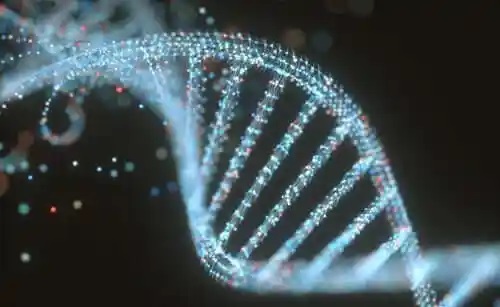 Diferențele dintre ADN și ARN