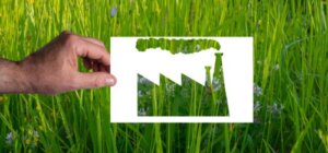 Greenwashing: ce este și cum îl identificăm?