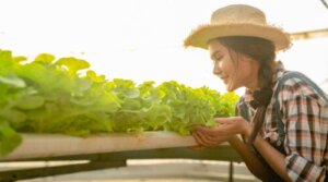 8 sfaturi pentru a avea o cultură hidroponică