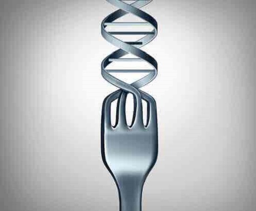 Nutrigenetica: relația dintre alimente și gene