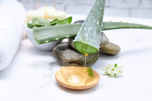 Remediu cu aloe vera