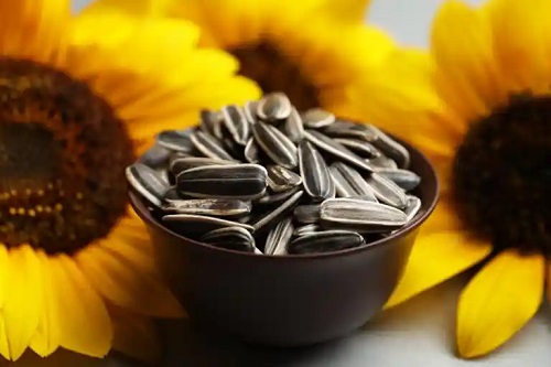 Consumul cojilor de semințe de floarea soarelui trebuie evitat?