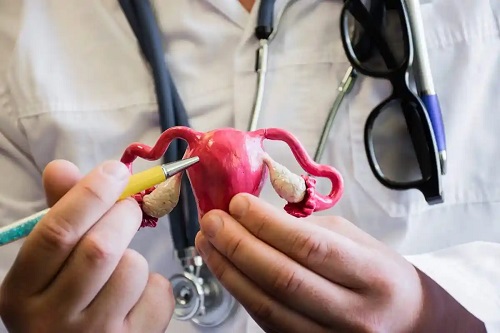 Doctor ce prezintă uterul septat