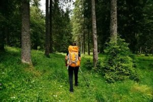 Shinrin Yoku sau scăldatul în pădure: care sunt beneficiile sale?