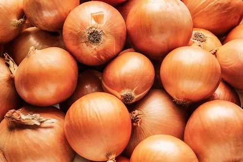 Ceapă albă proaspătă