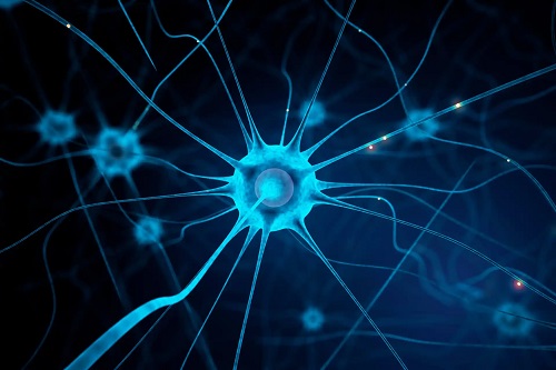 Conexiuni neuronale