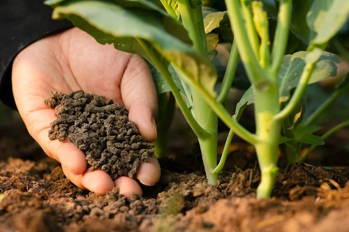 Fertilizator pentru plante
