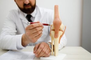 Tipuri de cartilaj: caracteristici și localizare