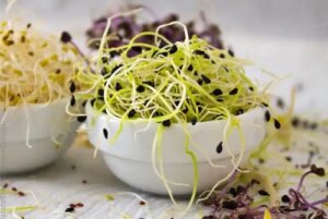 Cum să crești germeni acasă