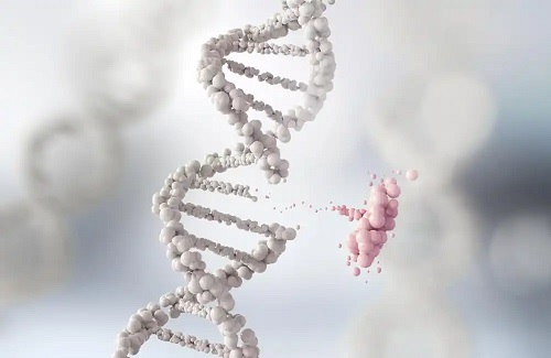 Fragment de ADN